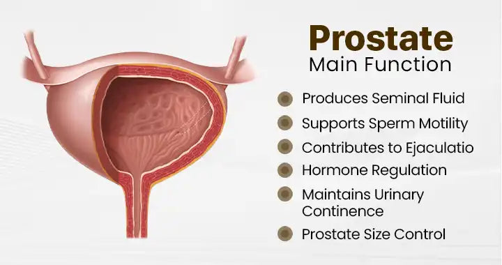 ProstaVibe Bee Wellness Inhaler
