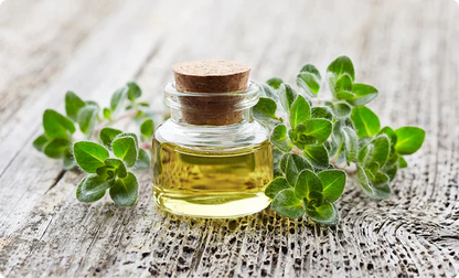 🌿Oil Of Oregano Softgels 6000MG - Feeling Good Everyday